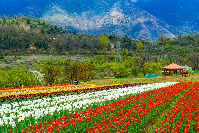 Top Beautiful Places in India That Will Take Your Breath Away